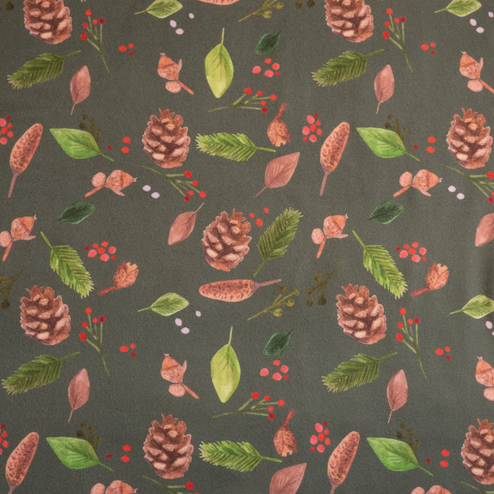 PINE CONES - DBP