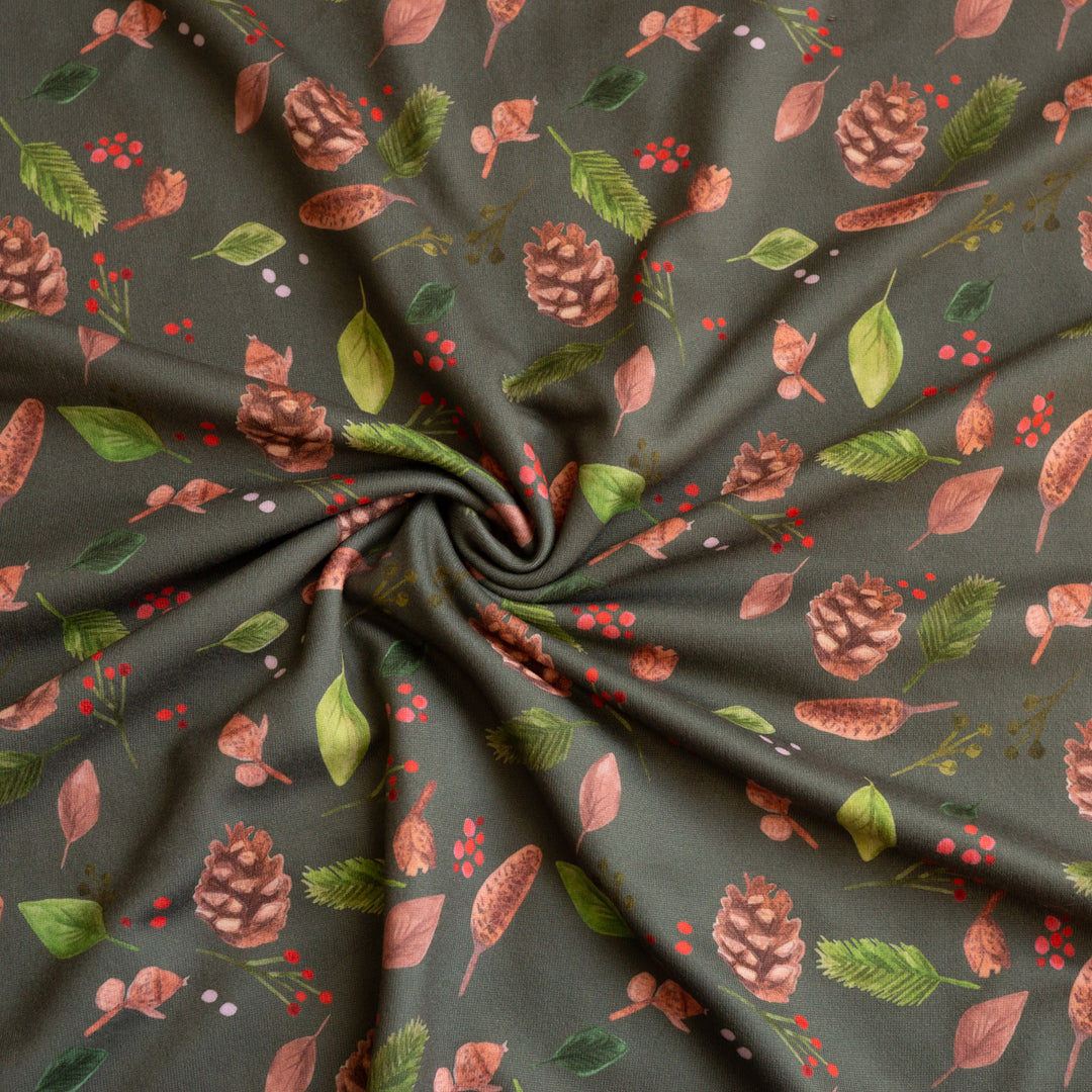 PINE CONES - DBP