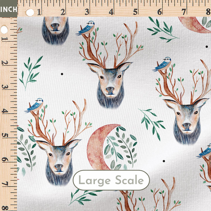 SPRING BUCK