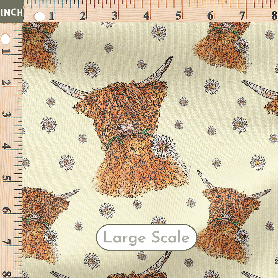 SPRING HIGHLAND COW