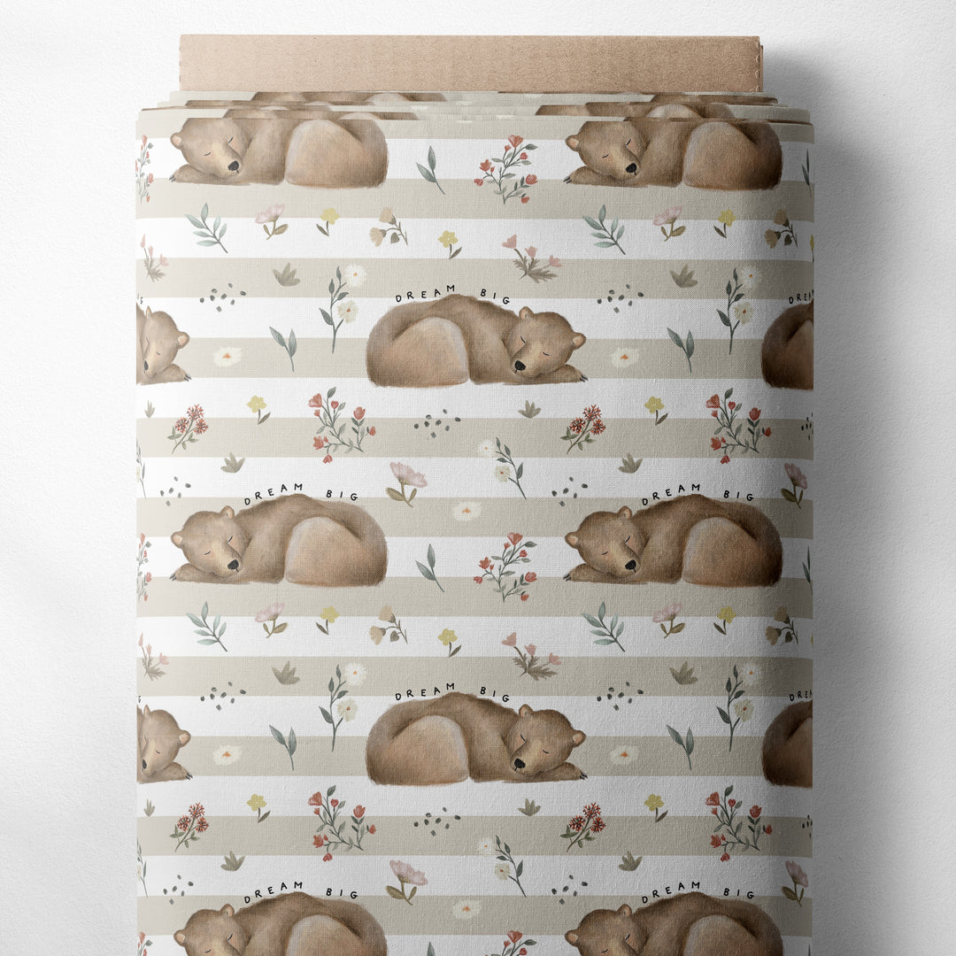 DREAM BIG SPRING BEAR