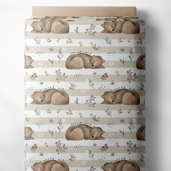 DREAM BIG SPRING BEAR